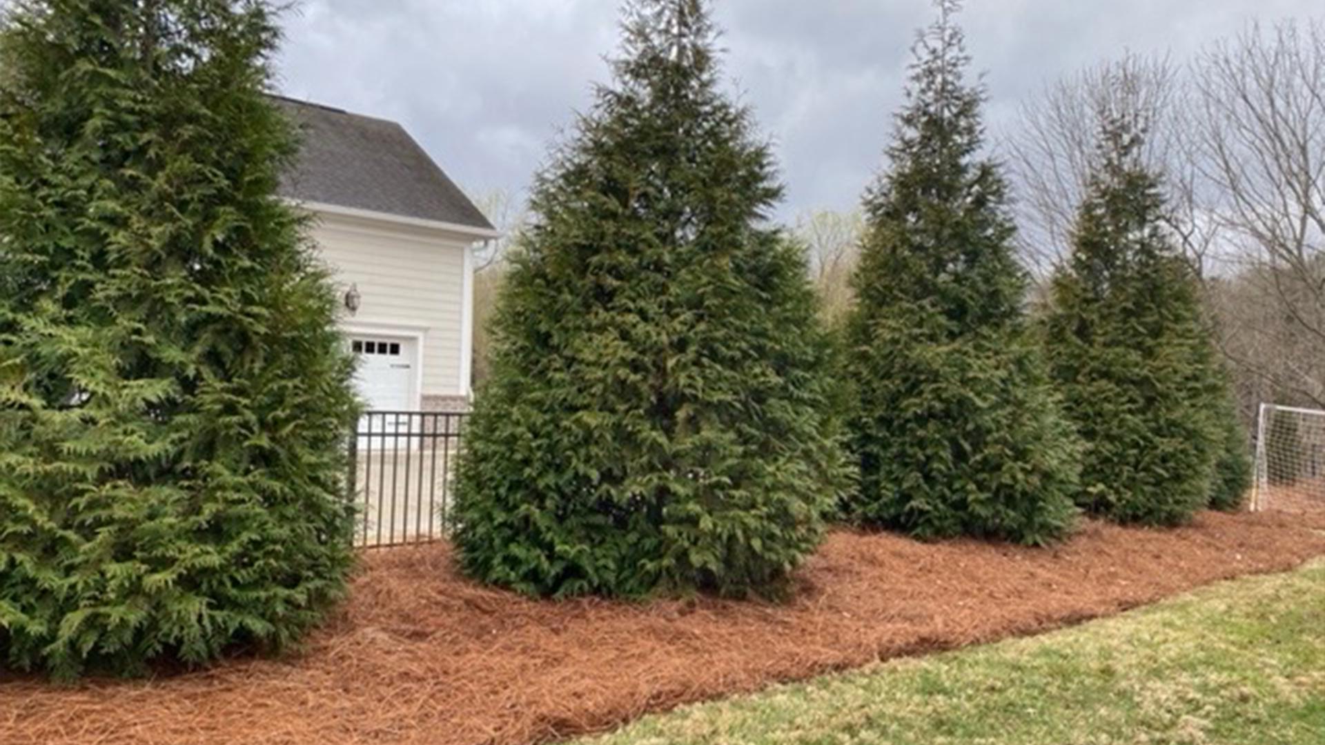 landscapers around the area