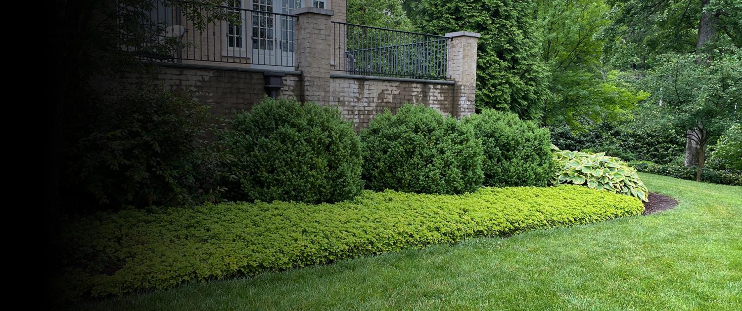 best landscaping company in chattanooga