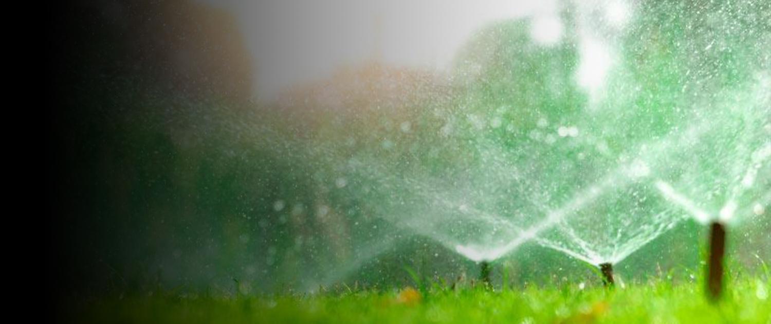 chattanoogas best landscaping company